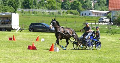 Foto des Albums: Fahrturnier Hilders 2017