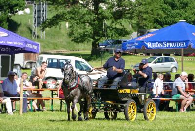 Foto des Albums: Fahrturnier Hilders 2017