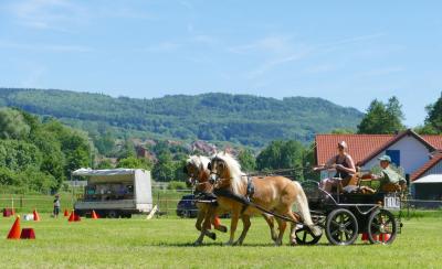 Foto des Albums: Fahrturnier Hilders 2017
