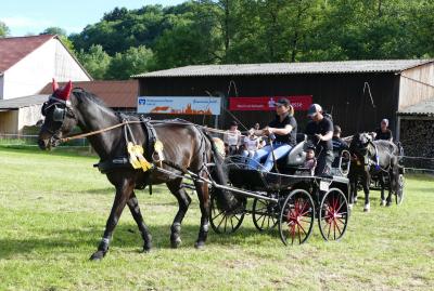 Foto des Albums: Fahrturnier Hilders 2017