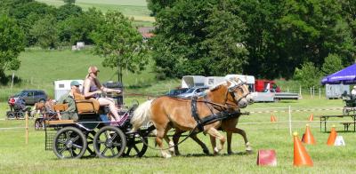 Foto des Albums: Fahrturnier Hilders 2017