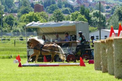Foto des Albums: Fahrturnier Hilders 2017