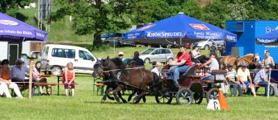 Foto des Albums: Fahrturnier Hilders 2017