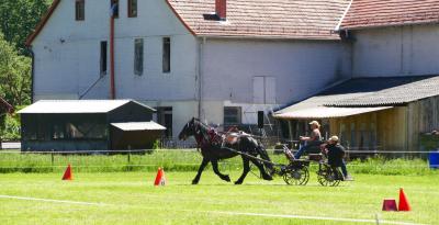 Foto des Albums: Fahrturnier Hilders 2017