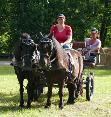 Foto des Albums: Fahrturnier Hilders 2017
