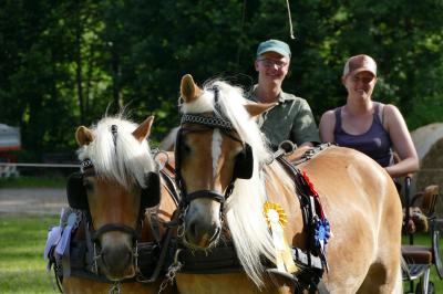 Foto des Albums: Fahrturnier Hilders 2017