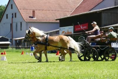 Foto des Albums: Fahrturnier Hilders 2017