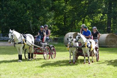Foto des Albums: Fahrturnier Hilders 2017