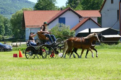 Foto des Albums: Fahrturnier Hilders 2017
