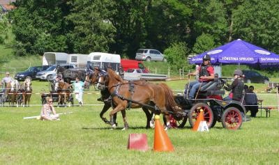 Foto des Albums: Fahrturnier Hilders 2017