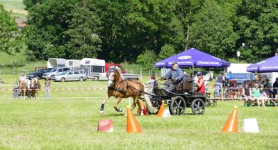 Foto des Albums: Fahrturnier Hilders 2017