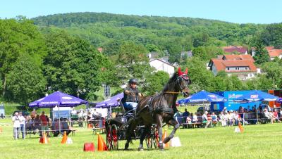 Foto des Albums: Fahrturnier Hilders 2017