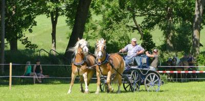 Foto des Albums: Fahrturnier Hilders 2017