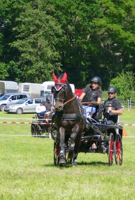 Foto des Albums: Fahrturnier Hilders 2017