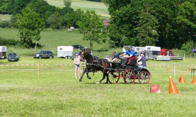 Foto des Albums: Fahrturnier Hilders 2017