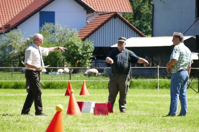 Foto des Albums: Fahrturnier Hilders 2017