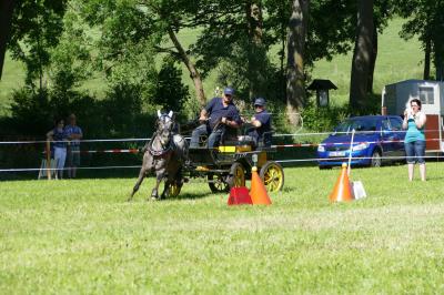 Foto des Albums: Fahrturnier Hilders 2017