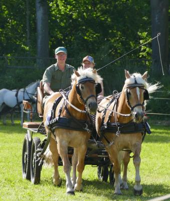 Foto des Albums: Fahrturnier Hilders 2017