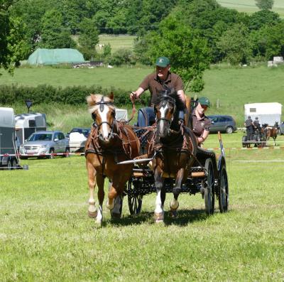 Foto des Albums: Fahrturnier Hilders 2017