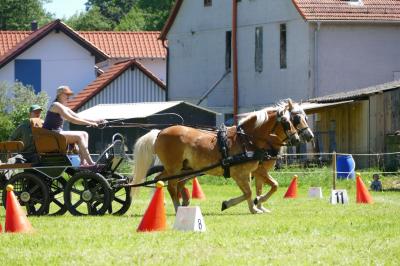 Foto des Albums: Fahrturnier Hilders 2017