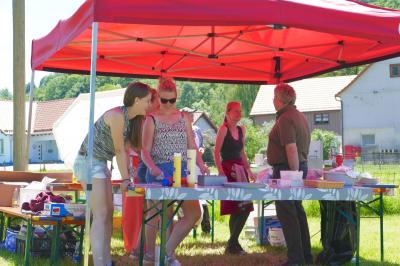 Foto des Albums: Fahrturnier Hilders 2017