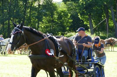 Foto des Albums: Fahrturnier Hilders 2017
