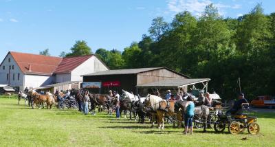 Foto des Albums: Fahrturnier Hilders 2017
