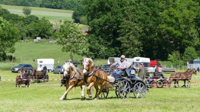 Foto des Albums: Fahrturnier Hilders 2017