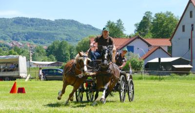 Foto des Albums: Fahrturnier Hilders 2017