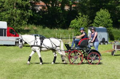Foto des Albums: Fahrturnier Hilders 2017
