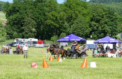 Foto des Albums: Fahrturnier Hilders 2017