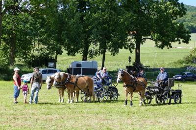 Foto des Albums: Fahrturnier Hilders 2017