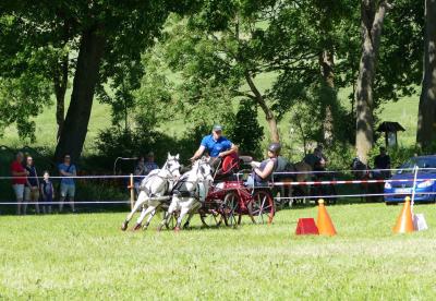 Foto des Albums: Fahrturnier Hilders 2017