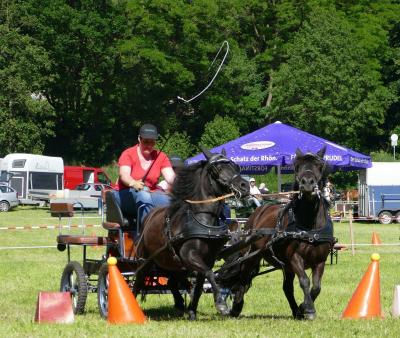 Foto des Albums: Fahrturnier Hilders 2017