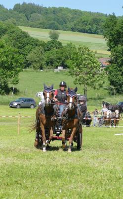 Foto des Albums: Fahrturnier Hilders 2017