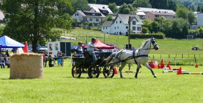 Foto des Albums: Fahrturnier Hilders 2017