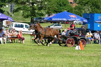 Foto des Albums: Fahrturnier Hilders 2017