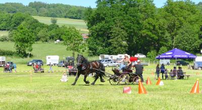 Foto des Albums: Fahrturnier Hilders 2017