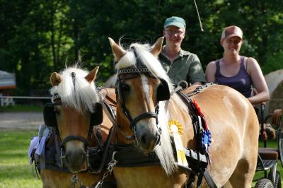Foto des Albums: Fahrturnier Hilders 2017