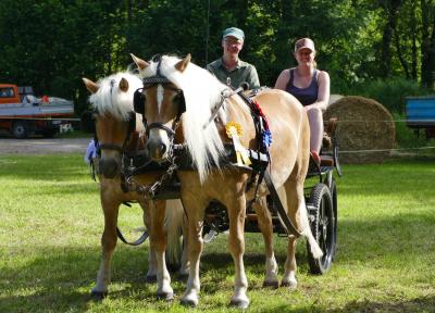 Foto des Albums: Fahrturnier Hilders 2017