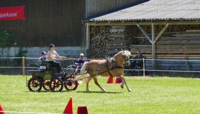 Foto des Albums: Fahrturnier Hilders 2017