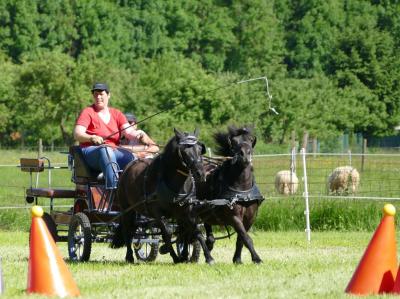 Foto des Albums: Fahrturnier Hilders 2017