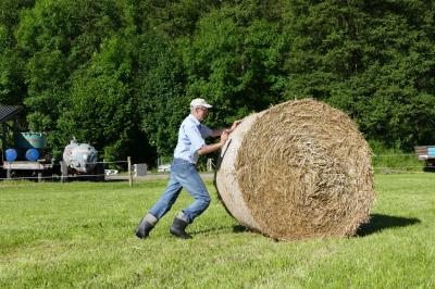 Foto des Albums: Fahrturnier Hilders 2017