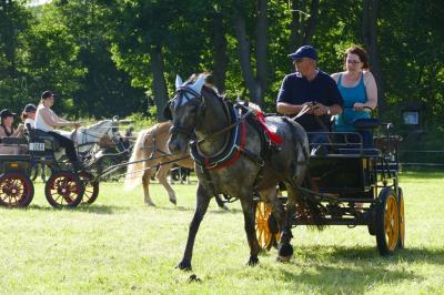 Foto des Albums: Fahrturnier Hilders 2017