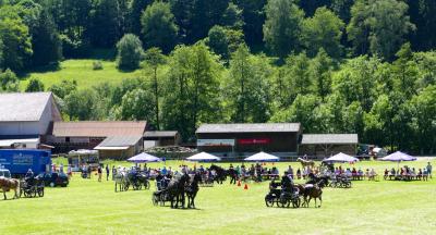 Foto des Albums: Fahrturnier Hilders 2017