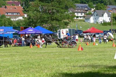 Foto des Albums: Fahrturnier Hilders 2017