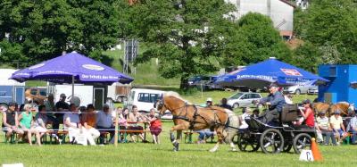 Foto des Albums: Fahrturnier Hilders 2017