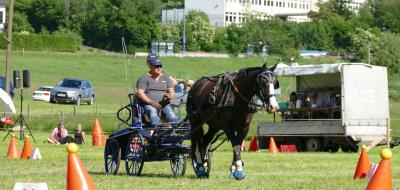 Foto des Albums: Fahrturnier Hilders 2017