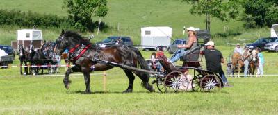 Foto des Albums: Fahrturnier Hilders 2017
