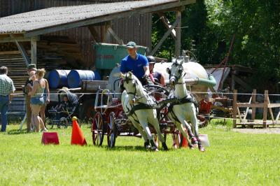 Foto des Albums: Fahrturnier Hilders 2017